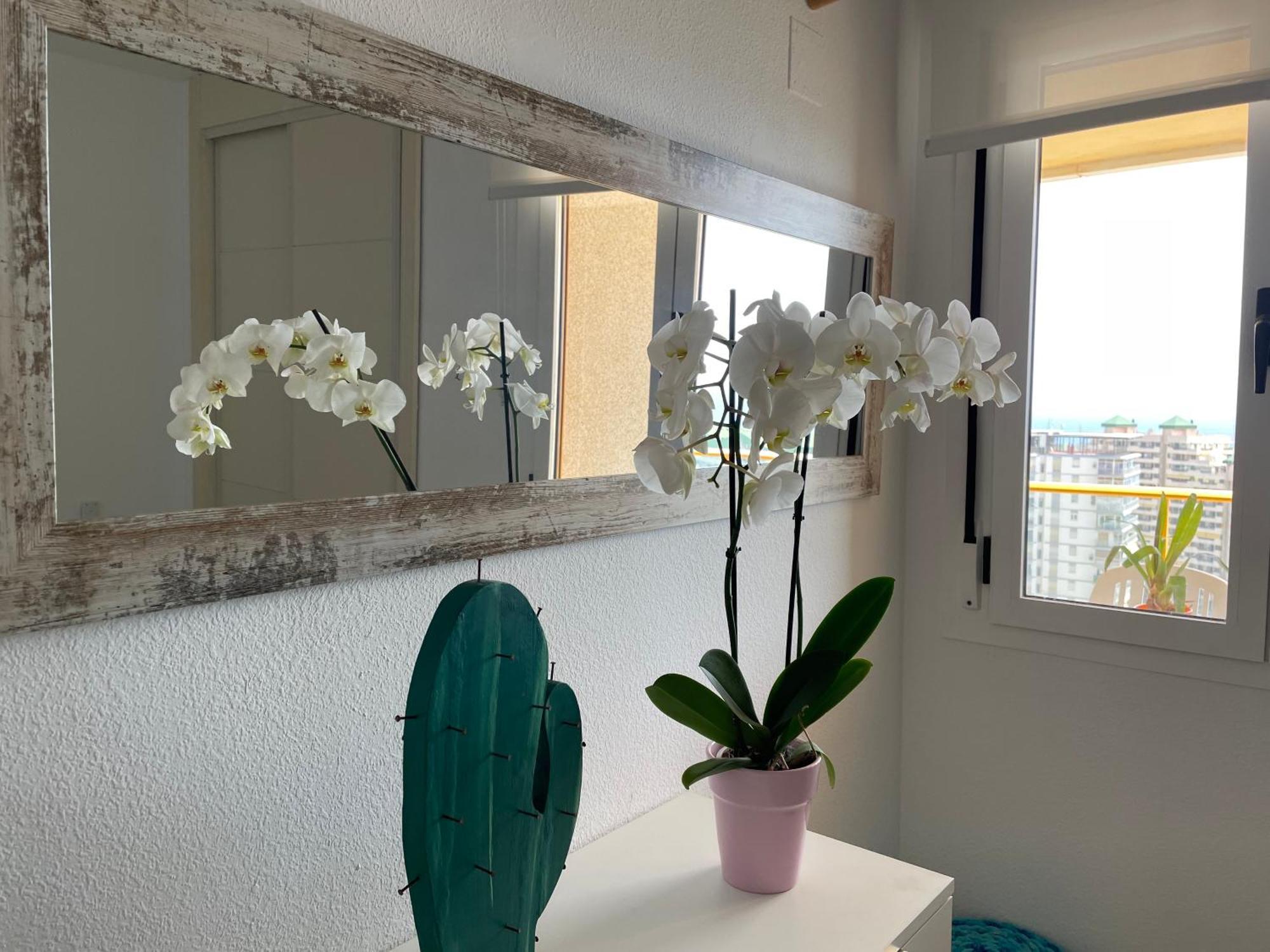 Apto One More Day In Ambar Calpe Ngoại thất bức ảnh